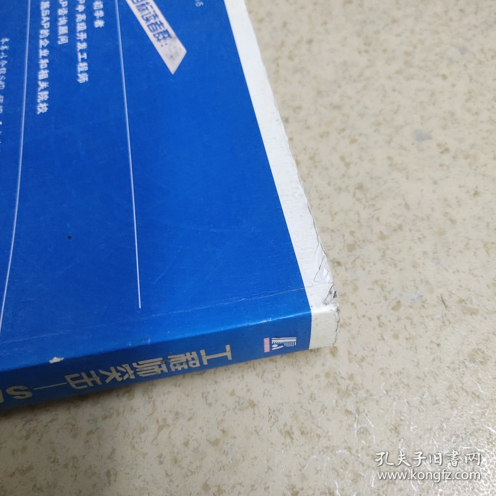 工程师突击 SAP ABAP实用程序开发攻略