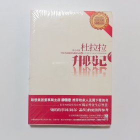 杜拉拉升职记
