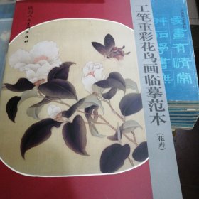 工笔重彩花鸟画临幕范本