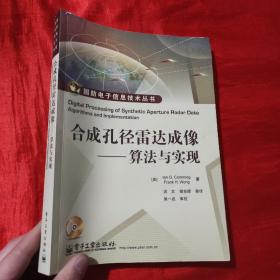 国防电子信息技术丛书：合成孔径雷达成像·算法与实现