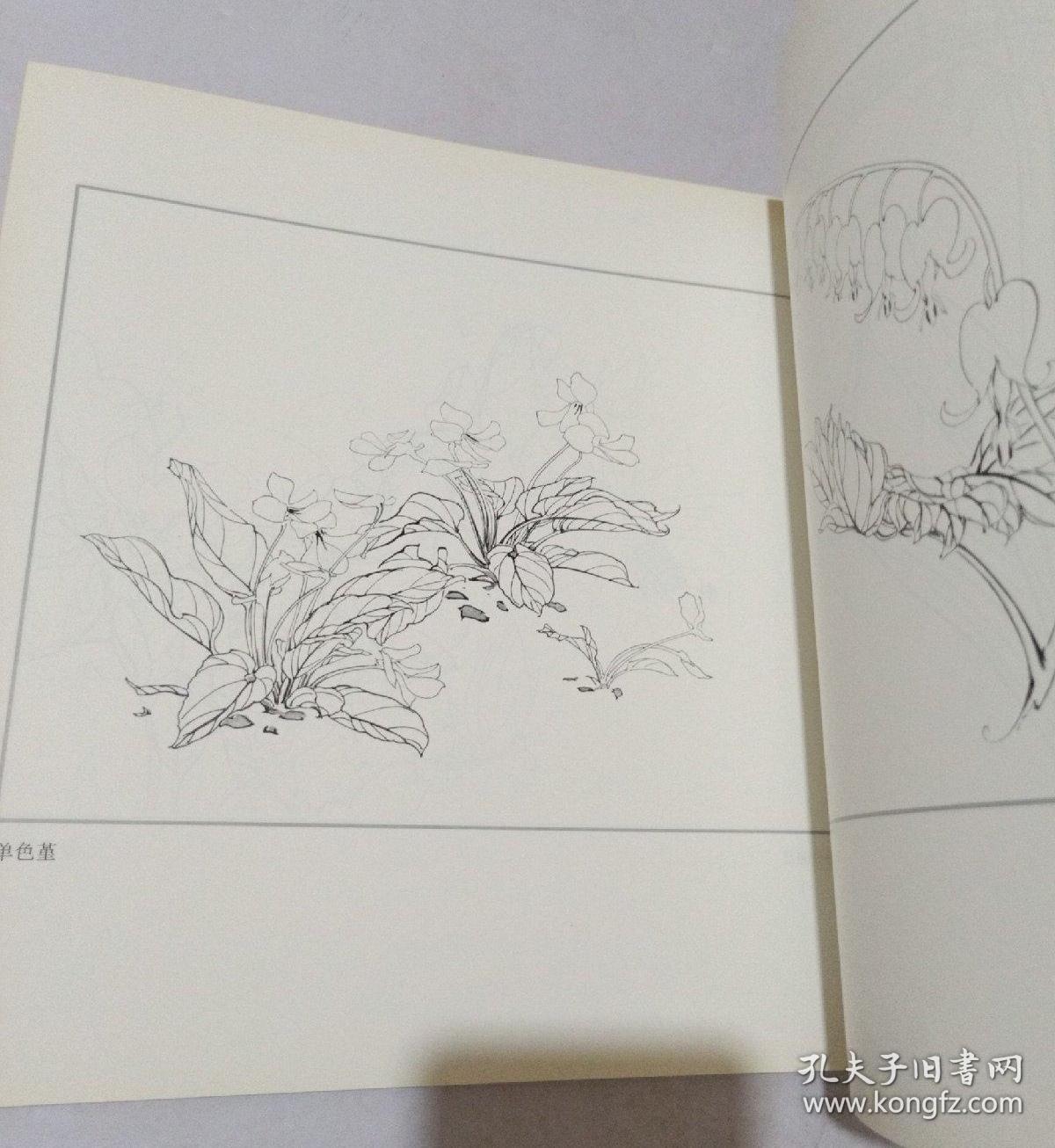 百花工笔画集 一版一印 大12开