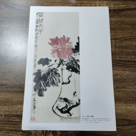 齐白石国画牡丹 花瓶 活页一张 印刷