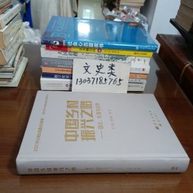 中国乡村振兴之路——理论 制度与政策（无写划，16开硬精装 ）