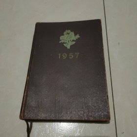 一本1957年的美术日记（未写字，缺1-16页，具体见图)
