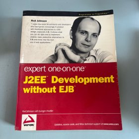 Expert One-on-One J2EE Development without EJB