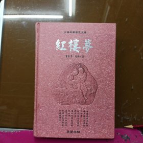 红楼梦：古典名著普及文库