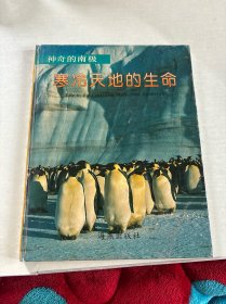 寒冷天地的生命
