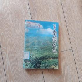 可爱的迁安