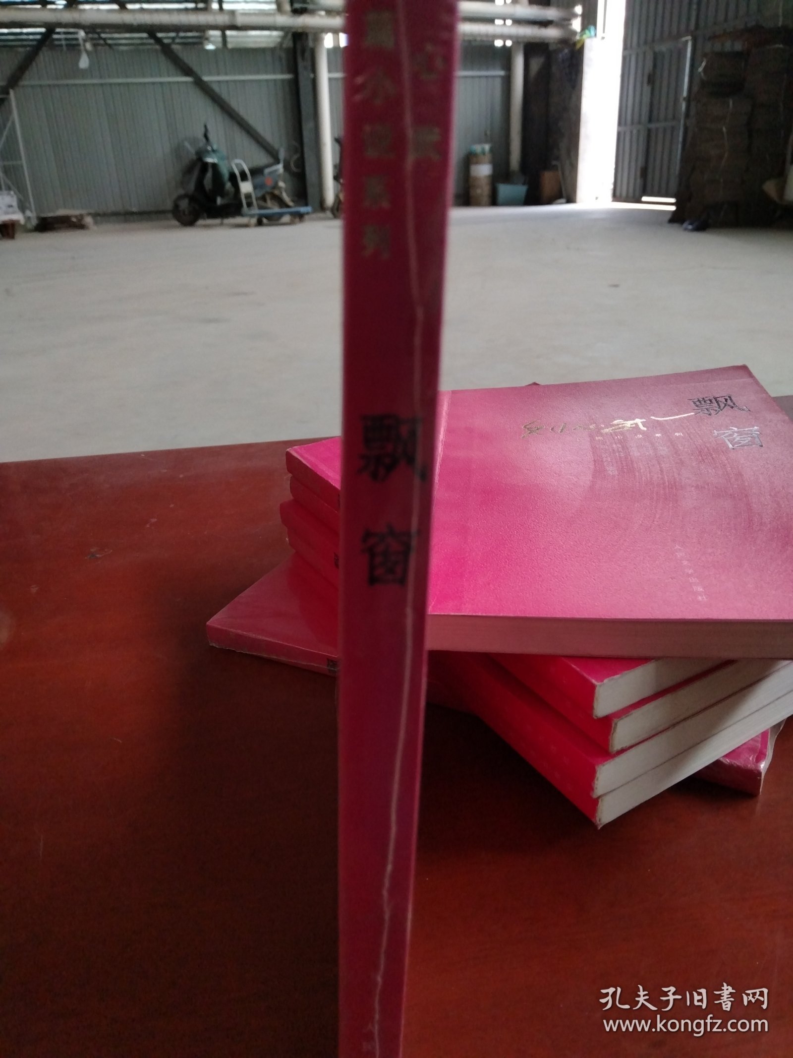 刘心武长篇小说系列 飘窗