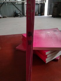 刘心武长篇小说系列 飘窗