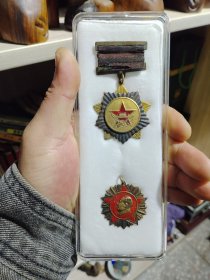 红色收藏：全国人民慰问人民解放军代表团赠、红五角星鎏金毛主席头像徽章，一起发