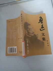 鲁迅文集导读本卷二十二