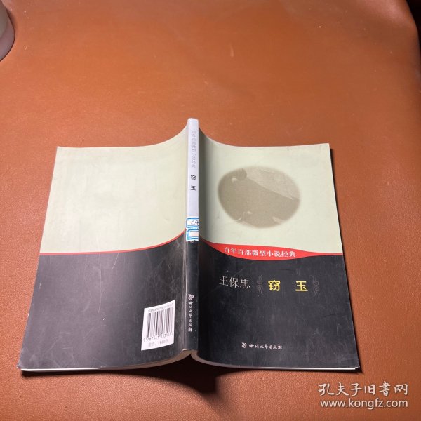 百年百部微型小说经典：窃玉