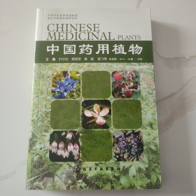 中国药用植物（十四）