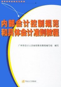 内部会计控制规范和具体会计准则教程