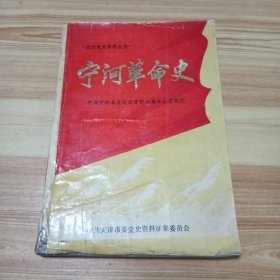 宁河革命史·天津党史资料丛书