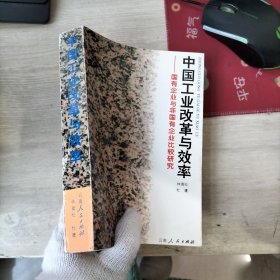 中國工業(yè)改革與效率:國有企業(yè)與非國有企業(yè)比較研究*