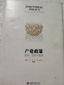 产业政策：总结、反思与展望