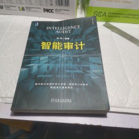 智能审计