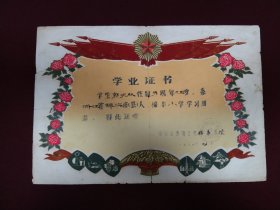 1974年宁波镇海县湾塘公社，棉丰小学植绒学业证书，尺寸：39*27厘米，品如图，80包邮。