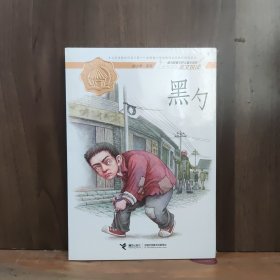 黑勺（接力杯曹文轩儿童小说奖美文悦读）【全新未开封】