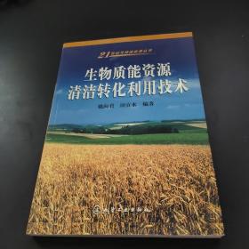 生物质能资源清洁转化利用技术/21世纪可持续能源丛书