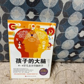孩子的大脑：0~6岁儿童养育脑科学