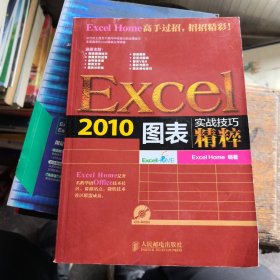 实战技巧精粹：Excel2010图表  （无光盘）