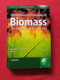 THERMOCHEMICAL PROCESSING OF BIOMASS INTO FUELS CHEMICALS AND POWER