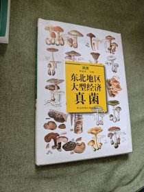 東北地區(qū)大型經(jīng)濟(jì)真菌