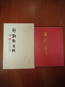 包邮共2本 中国当代名家画集：王中年（品相好未阅）送一本郁钧剑书画