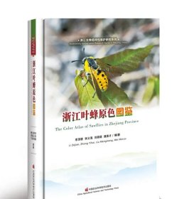 浙江叶蜂原色图鉴 李泽建 等