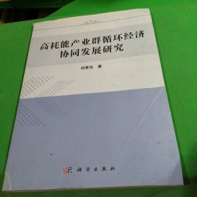 高耗能产业群循环经济协同发展研究