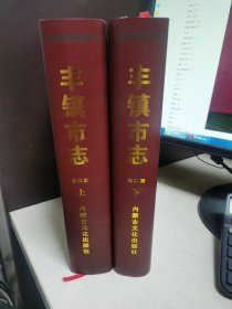丰镇市志全二册