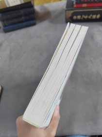 亚布力的光芒:中国企业家论坛白皮书