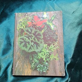 FOLINAGE HOUSE PLANTS 室内观叶植物