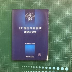 IT操作风险管理理论与实务