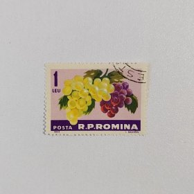 外国邮票 罗马尼亚邮票1963年植物水果葡萄 面值1L 盖销1枚 如图