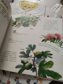 家门外的自然课系列——噢！中草药（百班千人暑期共读图书）书脊有破损！