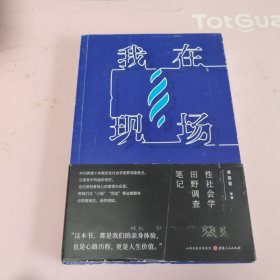 我在现场：性社会学田野调查笔记
