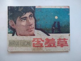 含羞草