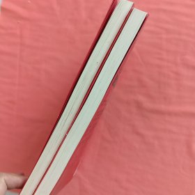 股市天经（之一）：量柱擒涨停（修订版）之二合售