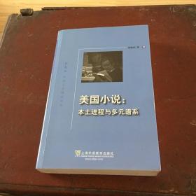 美国小说：本土进程与多元谱系/外教社外国文学研究丛书