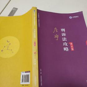 司法考试2019 上律指南针 2019国家统一法律职业资格考试：左宁刑诉法攻略·讲义卷