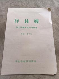 节目单：《祥林嫂》（向上海越剧团学习剧目）奉化县越剧团演出。导演，葛丁海。