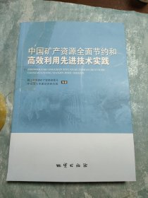 中国矿产资源全面节约和高效利用先进技术实践