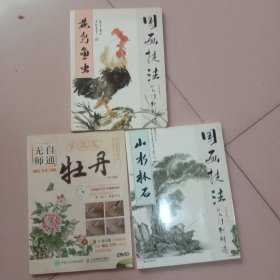 国画技法从入门到精通 山水林石，花鸟鱼虫