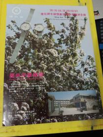 琼花牌 手表 扬州手表总厂 非金属材料实验机械 江苏资料 广告纸 广告纸页