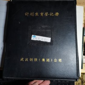 2000年前后，武钢职工计划生育登记卡，一本145张含20张职工登记卡，九层都有照片，详细记录基本情况，原物照相