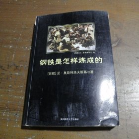 钢铁是怎样炼成的[苏]尼·奥斯特洛夫斯基  著；刘军  译陕西师范大学出版社